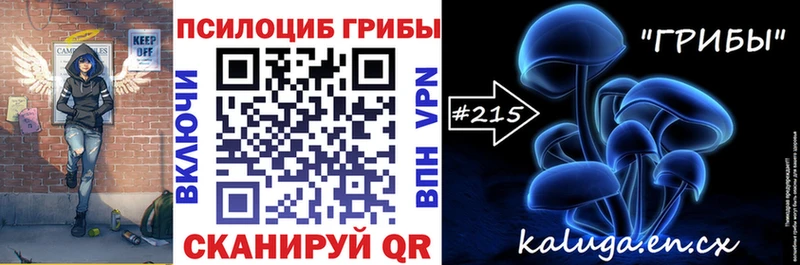 закладка Волгореченск МЕГА ONION Псилоцибиновые грибы Cubensis